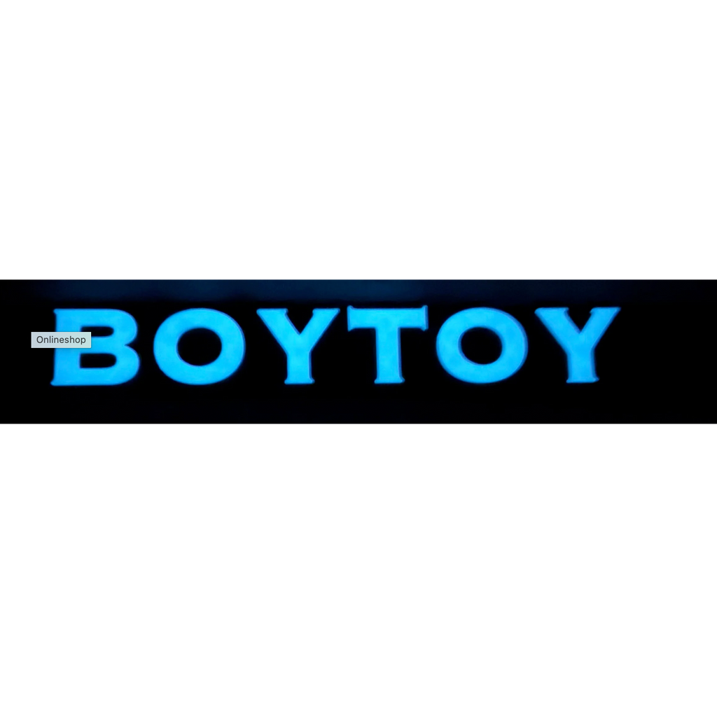 Harnest Plate "BOY TOY"